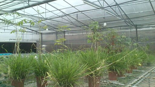 PA�콢��(�й���)����