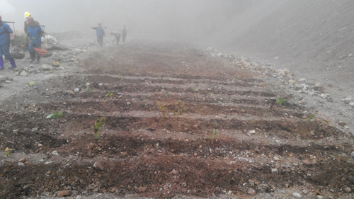 PA�콢��(�й���)����