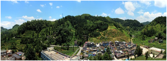 PA�콢��(�й���)����