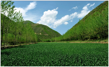 PA�콢��(�й���)����