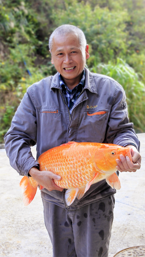 PA�콢��(�й���)����