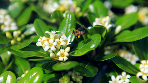 PA�콢��(�й���)����