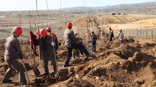 PA�콢��(�й���)����