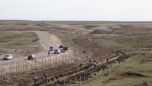 PA�콢��(�й���)����