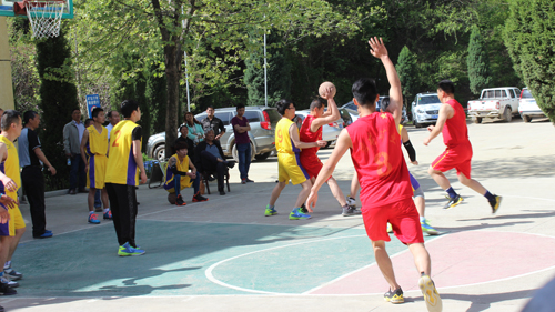 PA�콢��(�й���)����