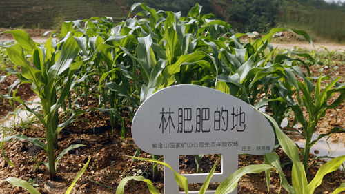 PA�콢��(�й���)����