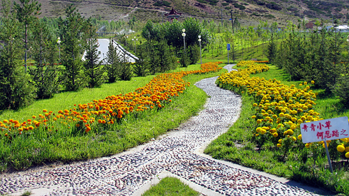 PAÆì½¢Ìü(ÖйúÇø)¼¯ÍÅ