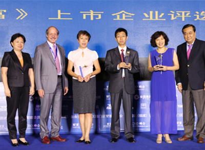 PA�콢��(�й���)���ſ�ҵ�������Ʋ��������İ棩2015���й�˾���Ͷ�ʻر���