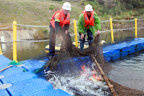 PA�콢��(�й���)����ɽ��͡��ˮ�������