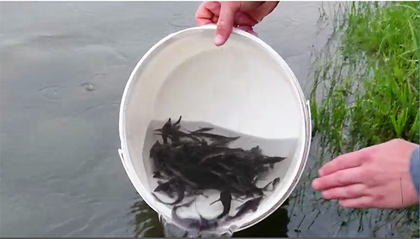 ��������֯��չ��ֳ�����˶�