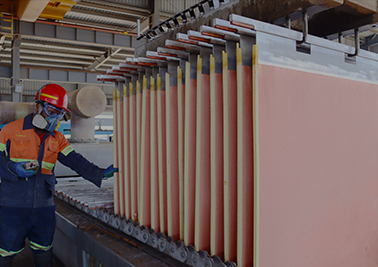 PA�콢��(�й���)����