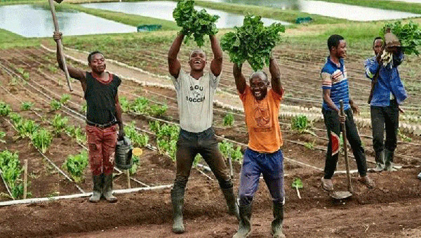 PA�콢��(�й���)����