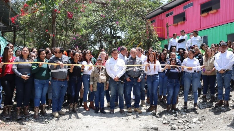 ��½�ƽ�һ������Ů��ѡ�����ҵ����