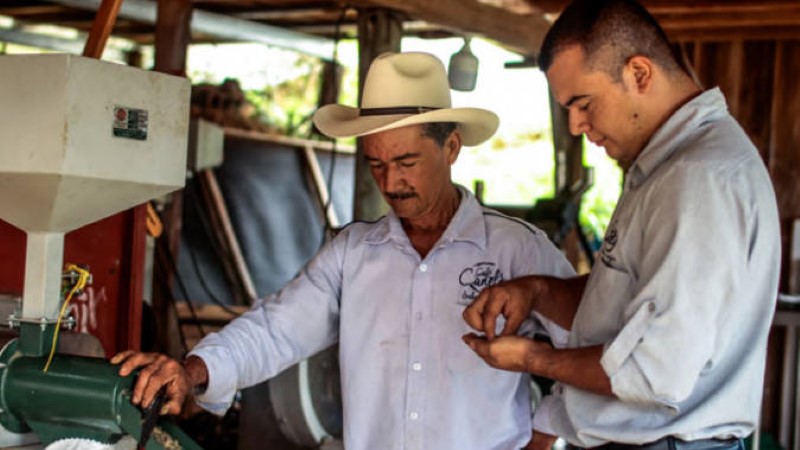 ��½�ƽ����ػ���ҵ������ũҵ��������