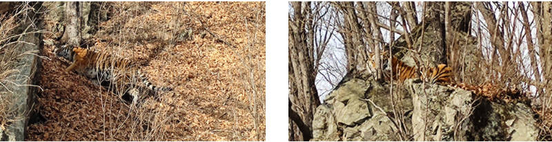 ����PA�콢��(�й���)���ŵ�����������Ӳ��˶�