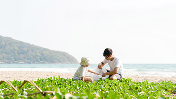 PA�콢��(�й���)����