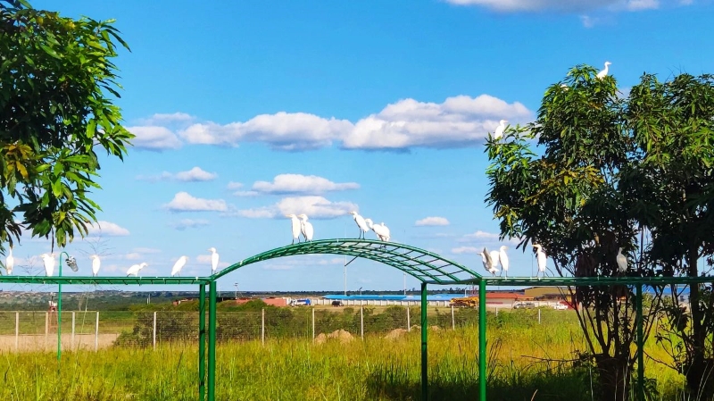 һ��һ��ʮ��������������PA�콢��(�й���)���ſ�ҵ���������ʵ�ֻ�����Ӯ