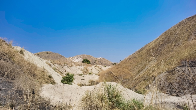 PA�콢��(�й���)���ſ�ҵ�����������¼�﮿�Manono��������Ŀ��̽����