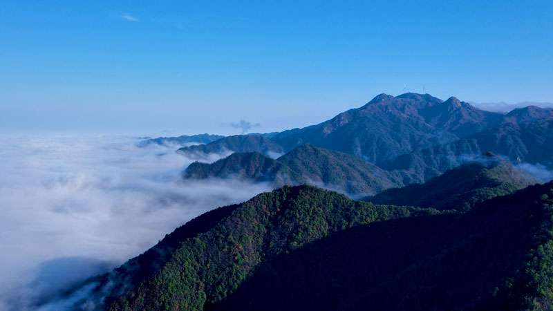 PA�콢��(�й���)����