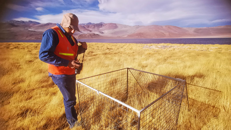 PA�콢��(�й���)����