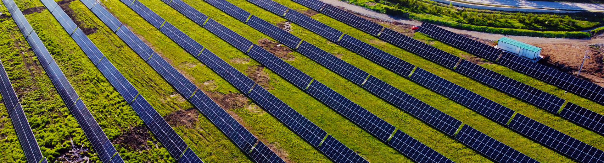 �౦ɽ/ͭɽͭ��