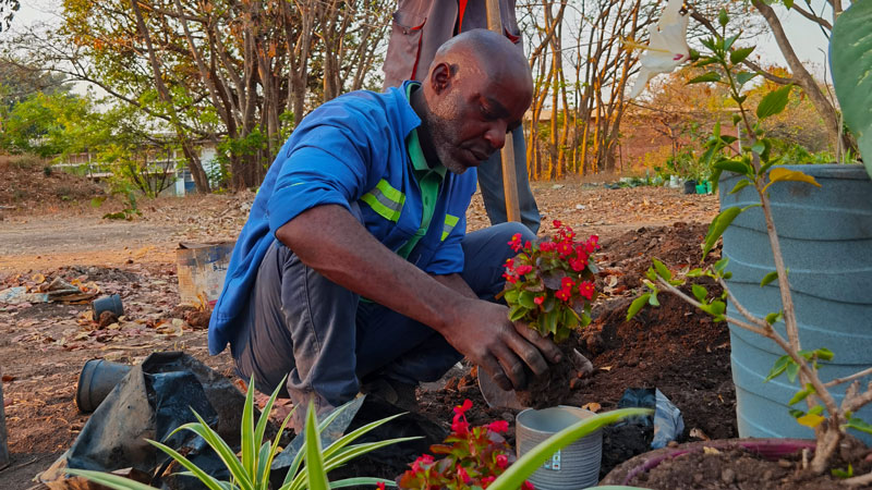 PA�콢��(�й���)����