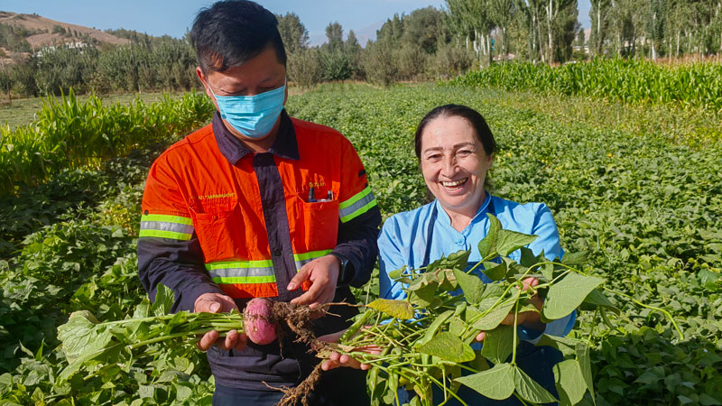 PA�콢��(�й���)����