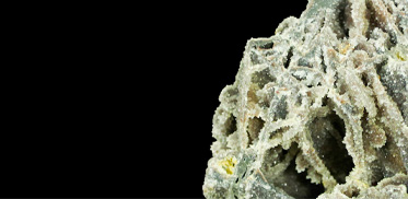 Zn��Pb��п��Ǧ��